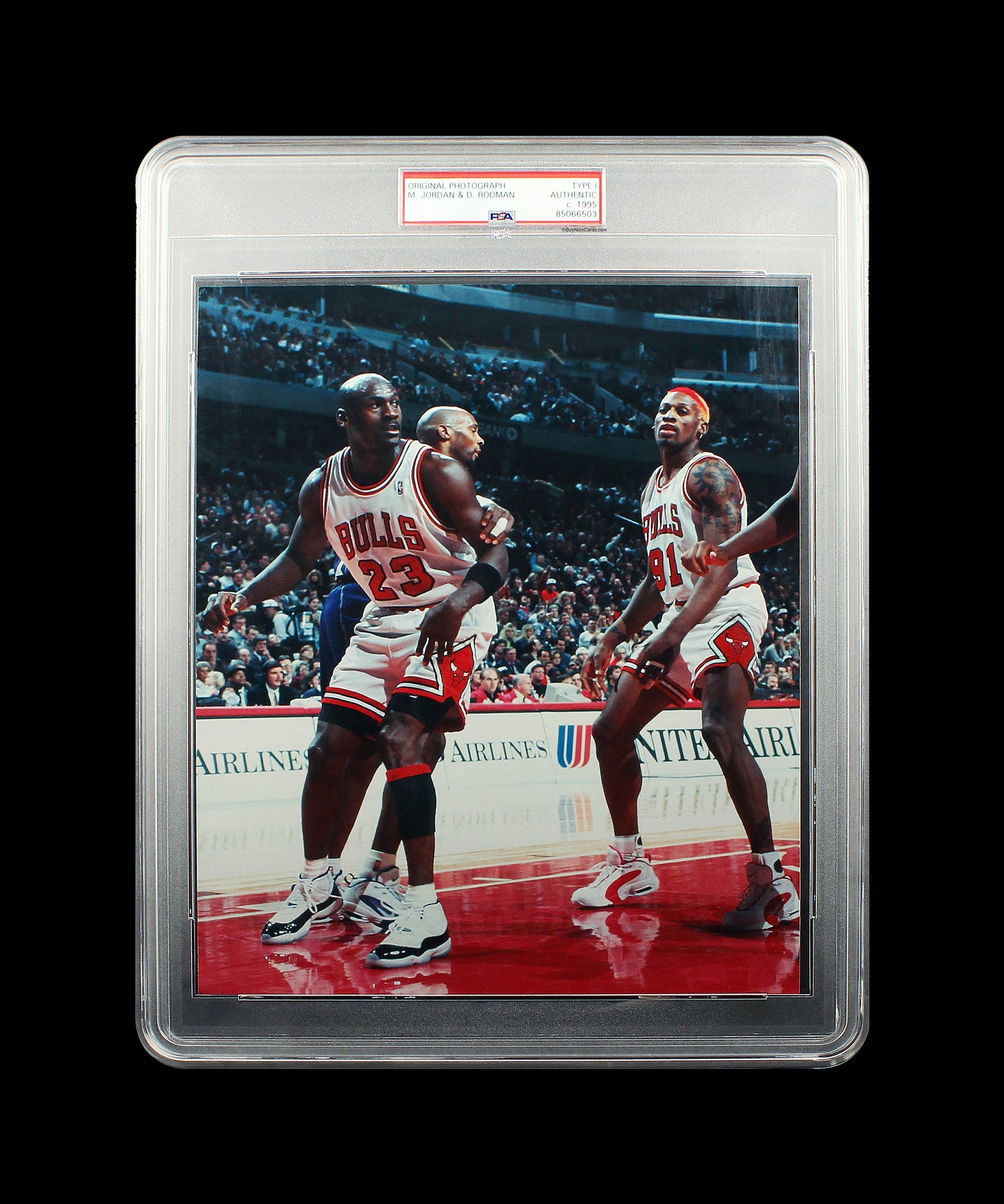 1995 Michael Jordan & Dennis Rodman Original Type 1 Photograph PSA Type 1